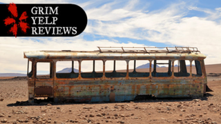 'Coated in Vomit': Grim Yelp Reviews of Very Long Bus Rides